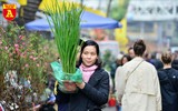 Lúa trổ đòng đắt khách ở chợ hoa Hàng Lược